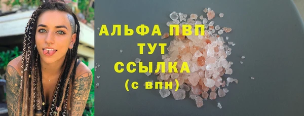 эйфоретик Бородино