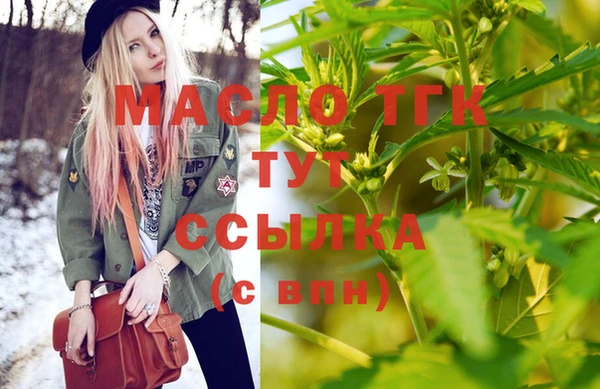 эйфоретик Бородино
