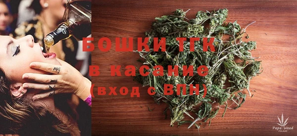 эйфоретик Бородино