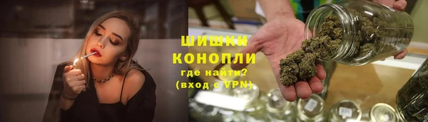 эйфоретик Бородино