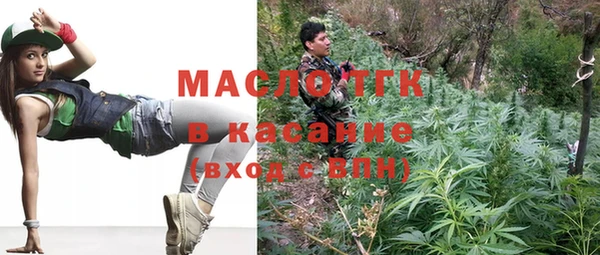 эйфоретик Бородино