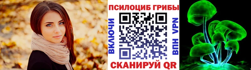 Псилоцибиновые грибы Psilocybe  Ноябрьск 