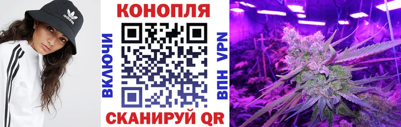 Конопля тримм  гидра ссылка  Ноябрьск  где продают  